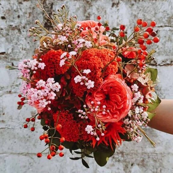 Eine Hand hält einen Strauß roter Blumen und Beeren.