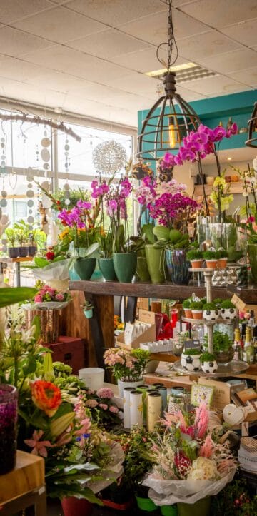 Ein Blumenladen mit vielen Blumen. {{brizy_dc_image_alt imageSrc=