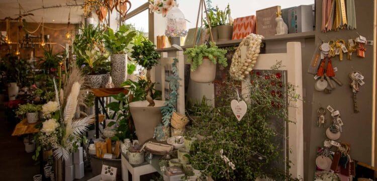 Ein Laden mit vielen Pflanzen und Töpfen. {{brizy_dc_image_alt imageSrc=