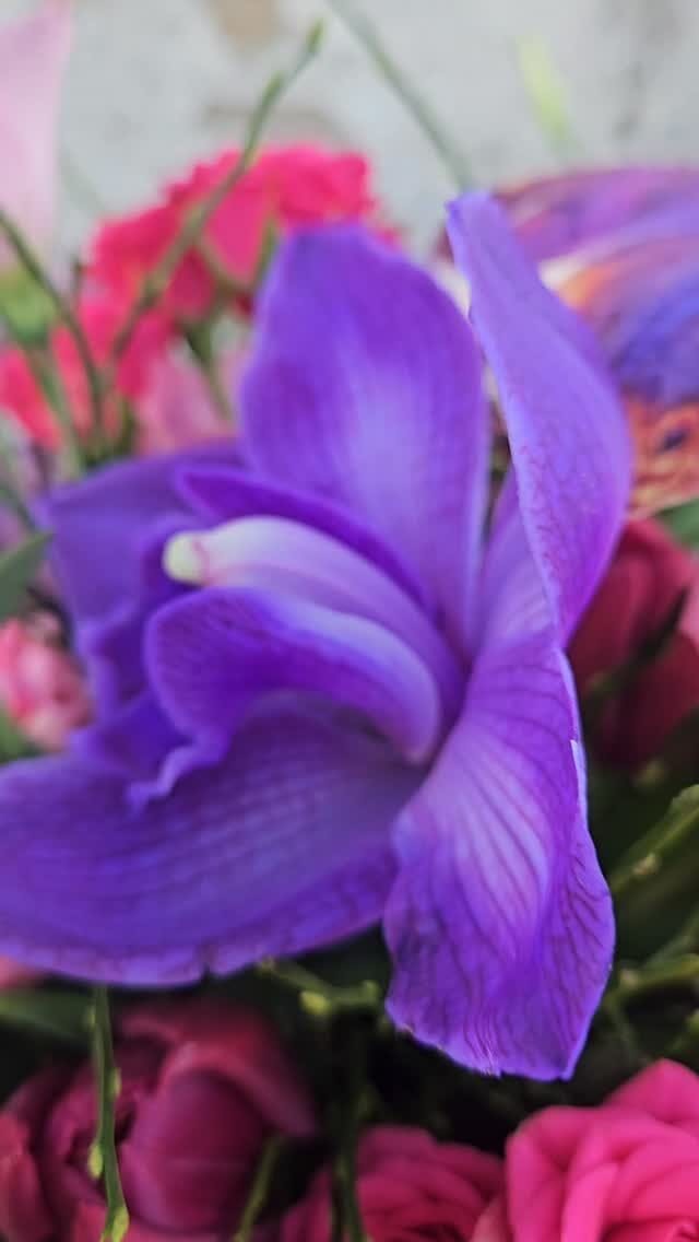 Blumen für die Frauen, die die Welt jeden Tag ein Stück schöner machen. 🌸✨

Zum Weltfrauentag am Sonntag feiern wir all die starken, mutigen, liebevollen und inspirierenden Frauen in unserem Leben.
Als Blumenfachgeschäft haben wir mit viel Liebe diesen besonderen Strauß gebunden – als kleines Zeichen der Wertschätzung für all die großartigen Frauen da draußen. 💐

Überrascht eine besondere Frau mit Blumen oder beschenkt euch einfach selbst. Denn jede Frau verdient es, gefeiert zu werden. 🤍

Kommt gerne bei uns vorbei – wir beraten euch und binden euren perfekten Weltfrauentags-Strauß. 🌷

#Weltfrauentag #Blumenfachgeschäft #Blumenliebe #Danke #blütemitstilbadvilbel