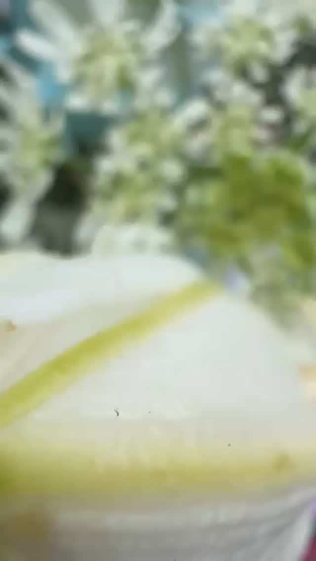 #blütemitstilbadvilbel